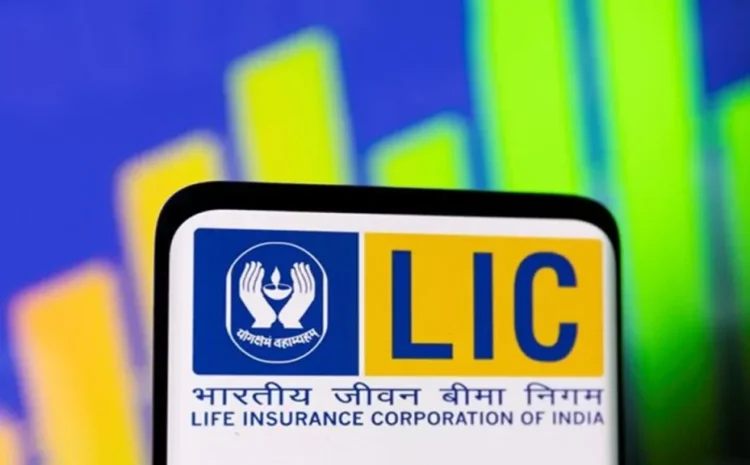  What is the Minimum Qualification Required for LIC Bima Sakhi?